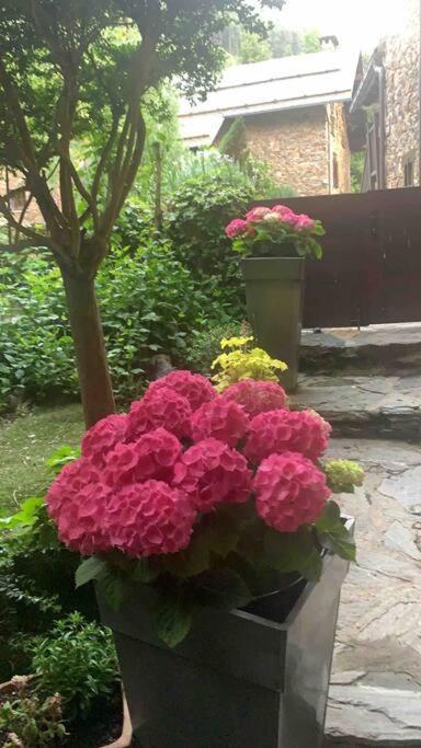 Place Of Charm And Tranquility Hut7558 Ordino Εξωτερικό φωτογραφία